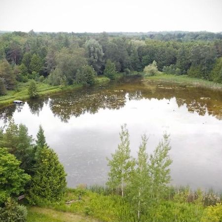 Cottage Retreat On 11 Acres Flesherton Exterior photo